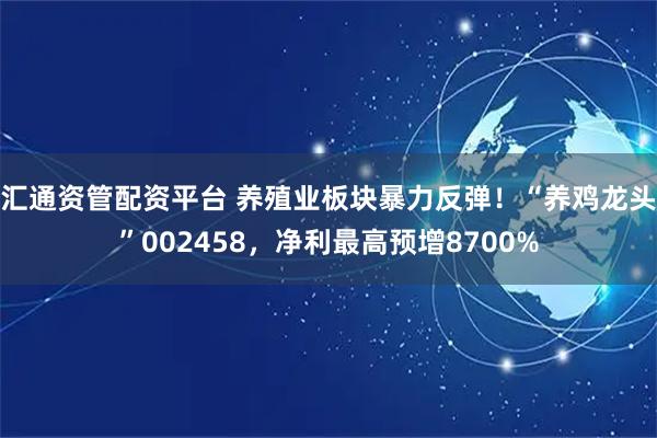 汇通资管配资平台 养殖业板块暴力反弹！“养鸡龙头”002458，净利最高预增8700%